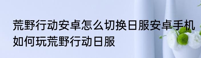 荒野行动安卓怎么切换日服安卓手机如何玩荒野行动日服