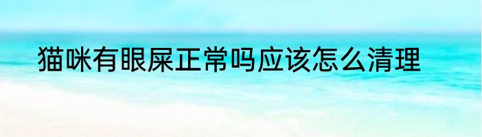 猫咪有眼屎正常吗应该怎么清理