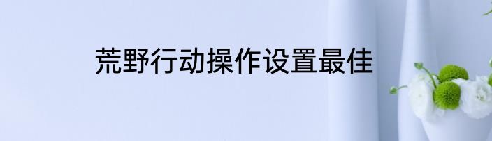 荒野行动操作设置最佳