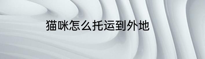 猫咪怎么托运到外地