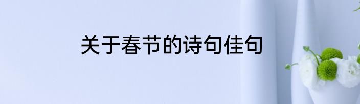 关于春节的诗句佳句