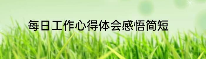每日工作心得体会感悟简短