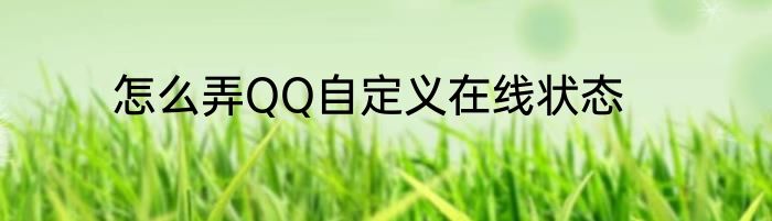 怎么弄QQ自定义在线状态