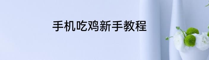 手机吃鸡新手教程