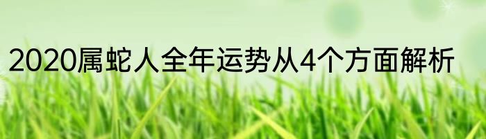 2020属蛇人全年运势从4个方面解析