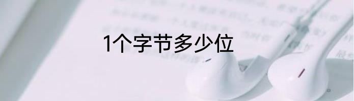 1个字节多少位