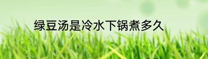 绿豆汤是冷水下锅煮多久