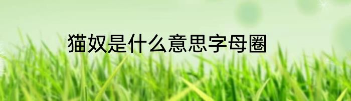 猫奴是什么意思字母圈