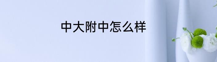 中大附中怎么样
