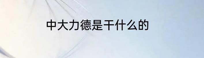 中大力德是干什么的