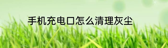 手机充电口怎么清理灰尘