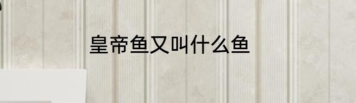 皇帝鱼又叫什么鱼