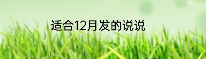 适合12月发的说说