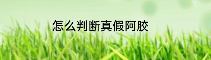 怎么判断真假阿胶