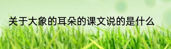 关于大象的耳朵的课文说的是什么