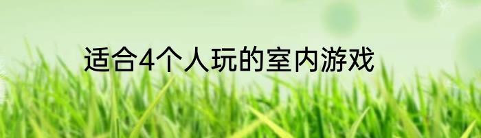适合4个人玩的室内游戏