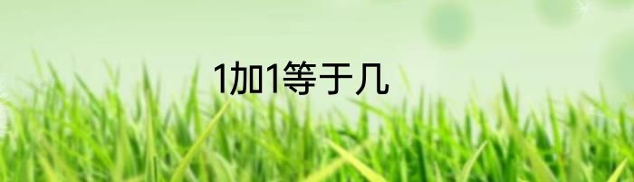 1加1等于几
