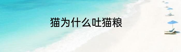 猫为什么吐猫粮