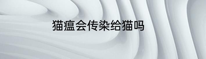 猫瘟会传染给猫吗