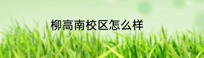 柳高南校区怎么样