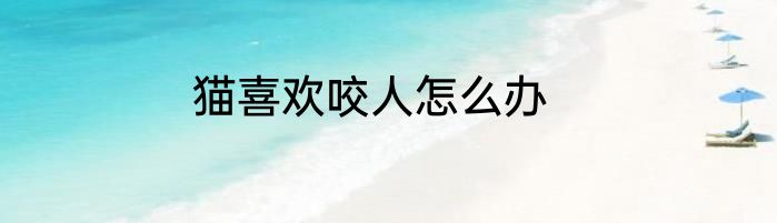 猫喜欢咬人怎么办