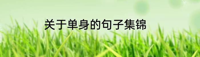 关于单身的句子集锦