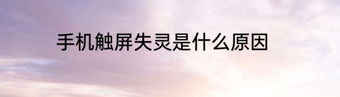 手机触屏失灵是什么原因