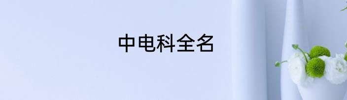 中电科全名
