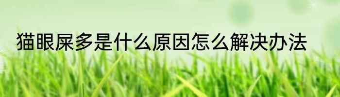 猫眼屎多是什么原因怎么解决办法
