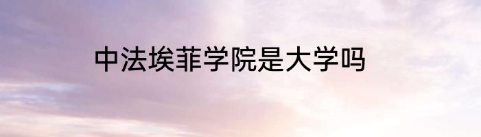 中法埃菲学院是大学吗