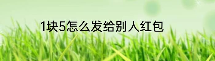 1块5怎么发给别人红包