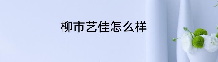 柳市艺佳怎么样