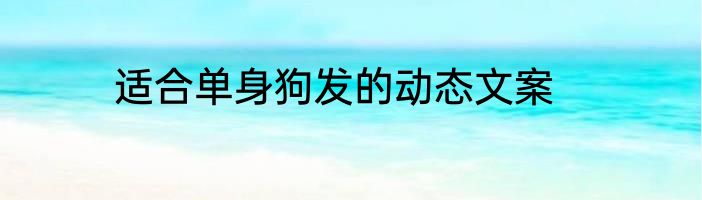 适合单身狗发的动态文案