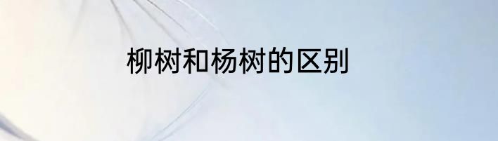 柳树和杨树的区别