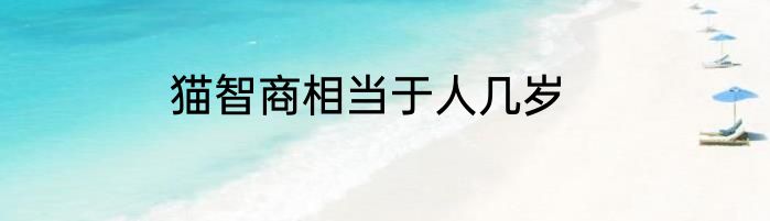 猫智商相当于人几岁