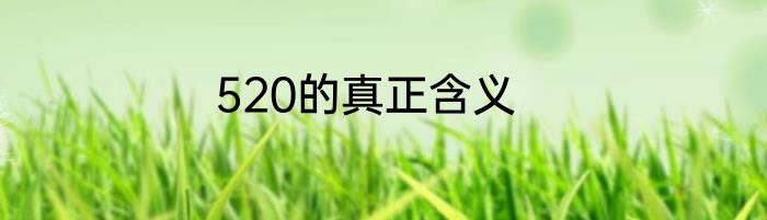 520的真正含义