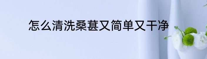 怎么清洗桑葚又简单又干净