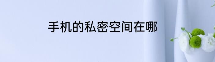手机的私密空间在哪
