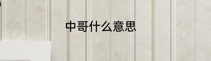中哥什么意思