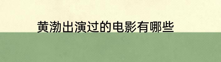 黄渤出演过的电影有哪些