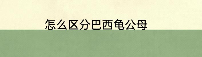 怎么区分巴西龟公母