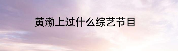 黄渤上过什么综艺节目