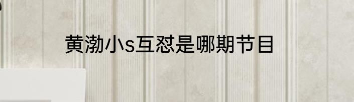 黄渤小s互怼是哪期节目