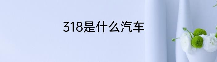 318是什么汽车