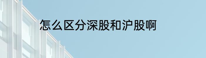 怎么区分深股和沪股啊