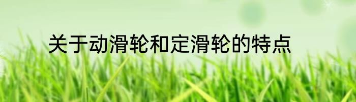 关于动滑轮和定滑轮的特点