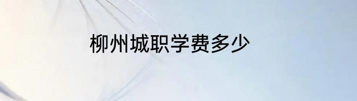 柳州城职学费多少