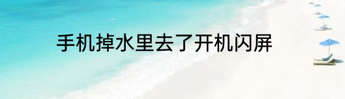 手机掉水里去了开机闪屏