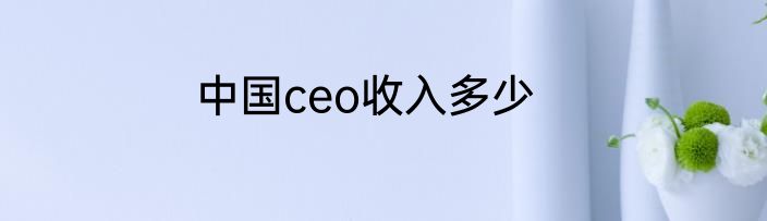 中国ceo收入多少