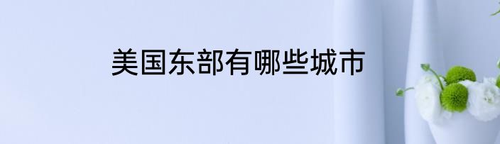 美国东部有哪些城市